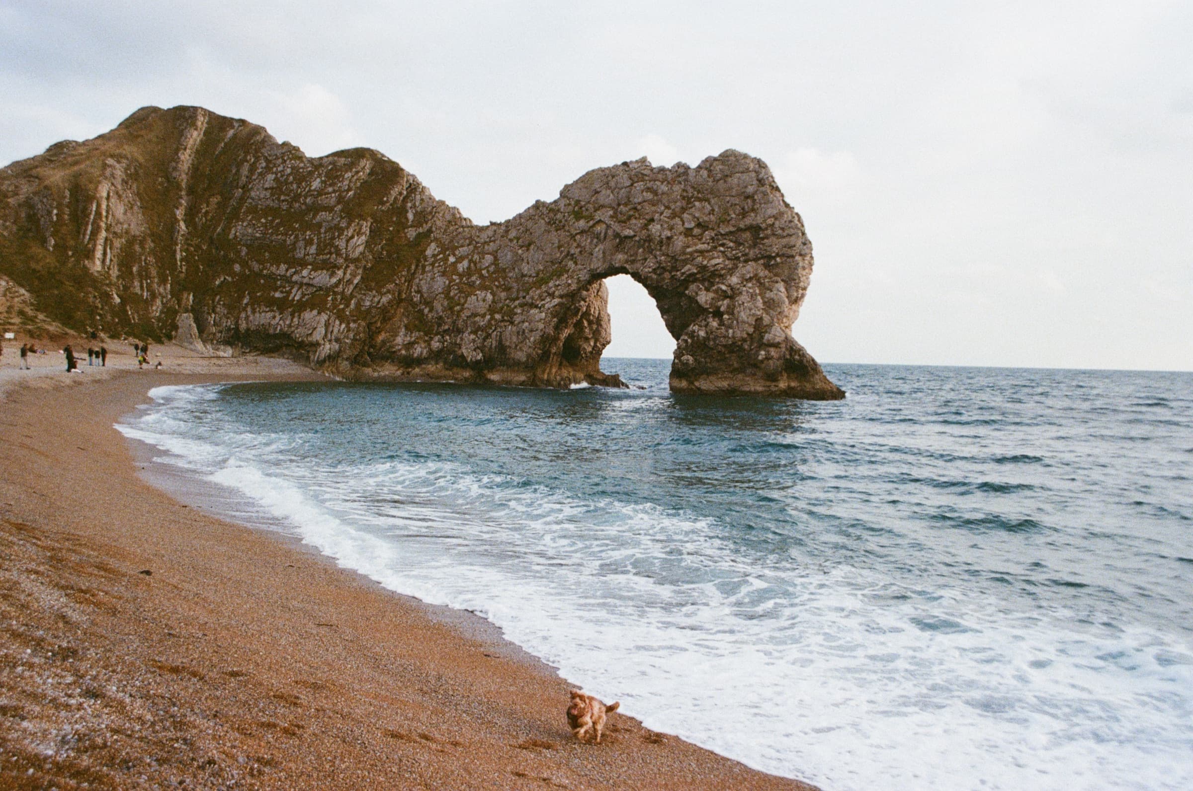 Nikon F50, Kodak 400 — flattened out by overcast midday light.