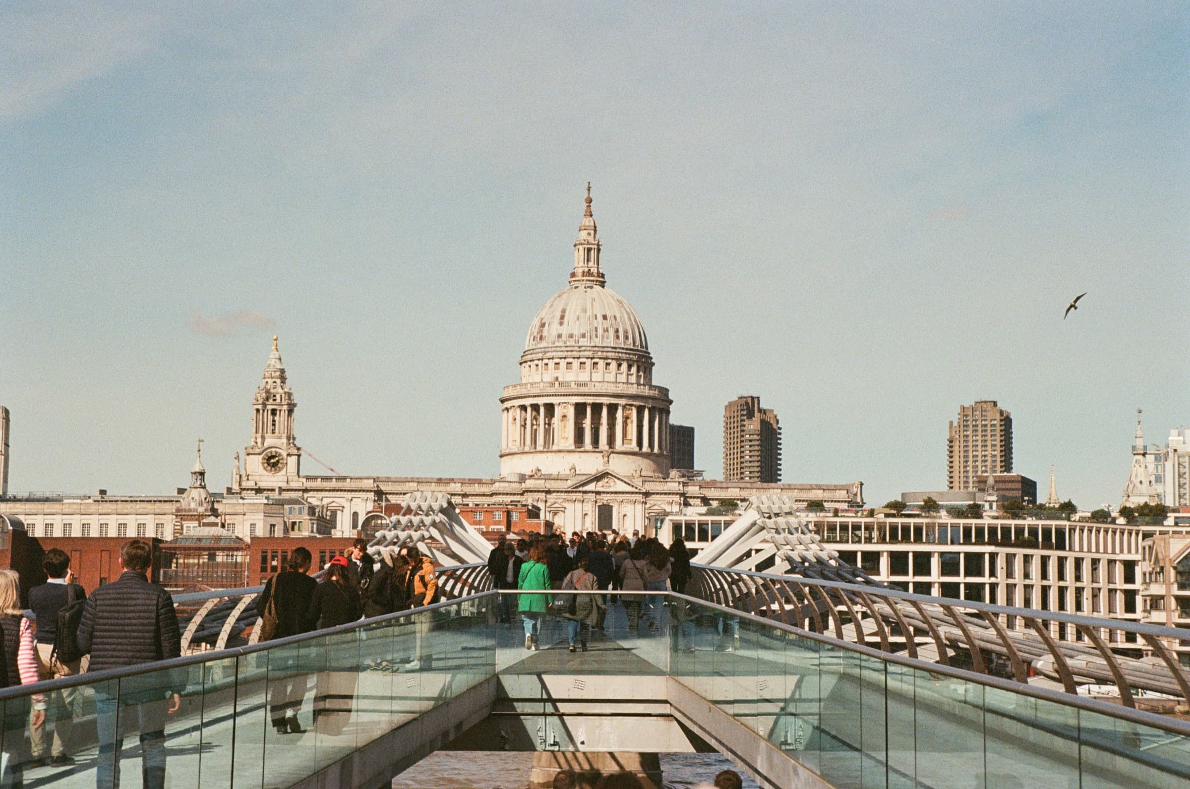 Nikon F50, Fuji 200 — dense texture below, smooth graded sky above.