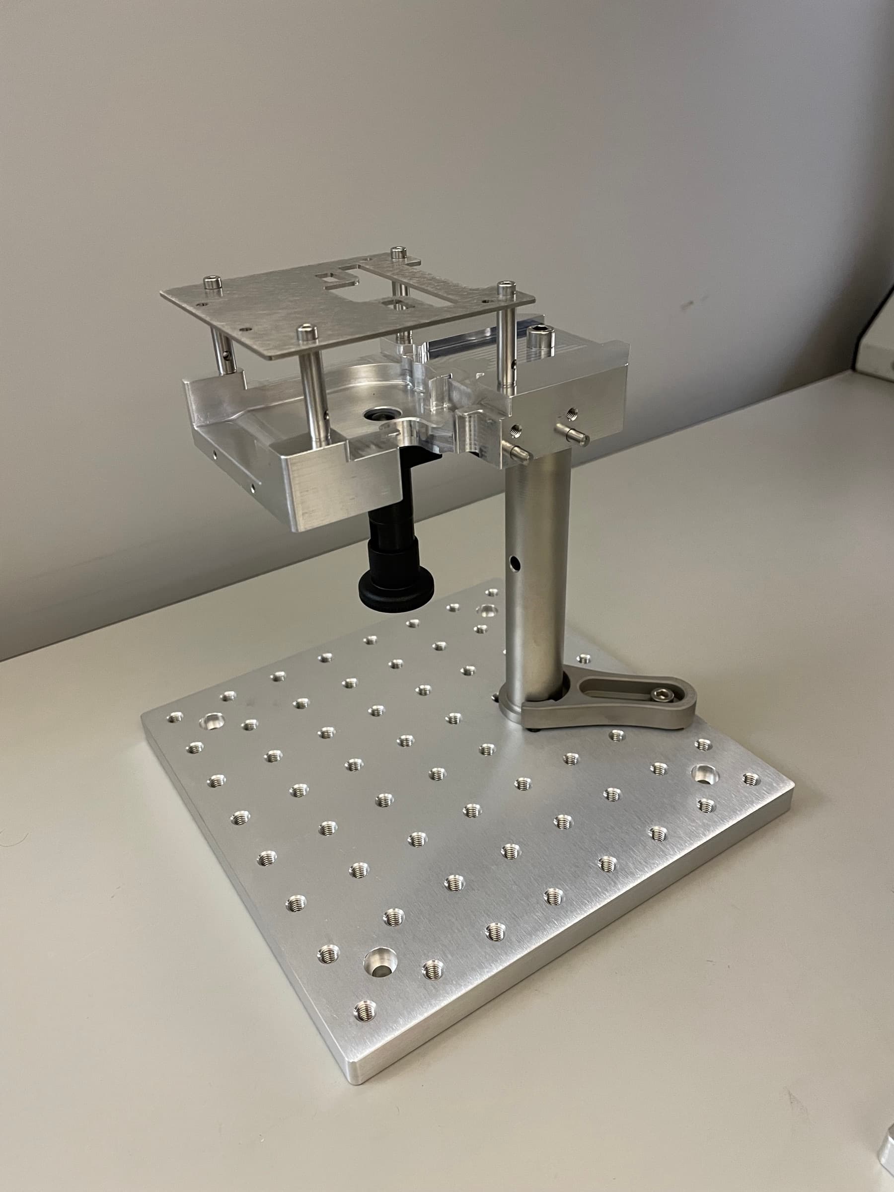Rapid PCR Verification — image 2